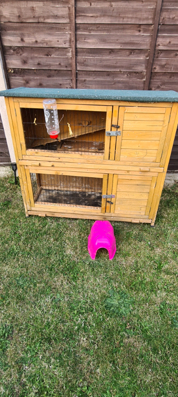 Rabbit/guinea pig hutch 