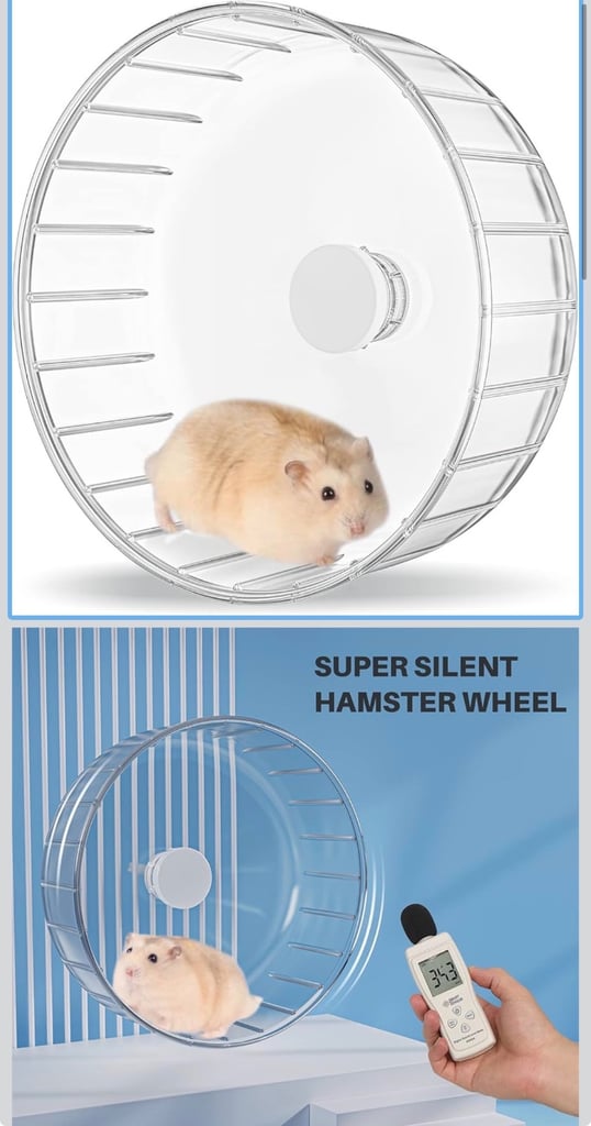 Russian Dwarf Hamster 🐹 4m + Cage & accessories 