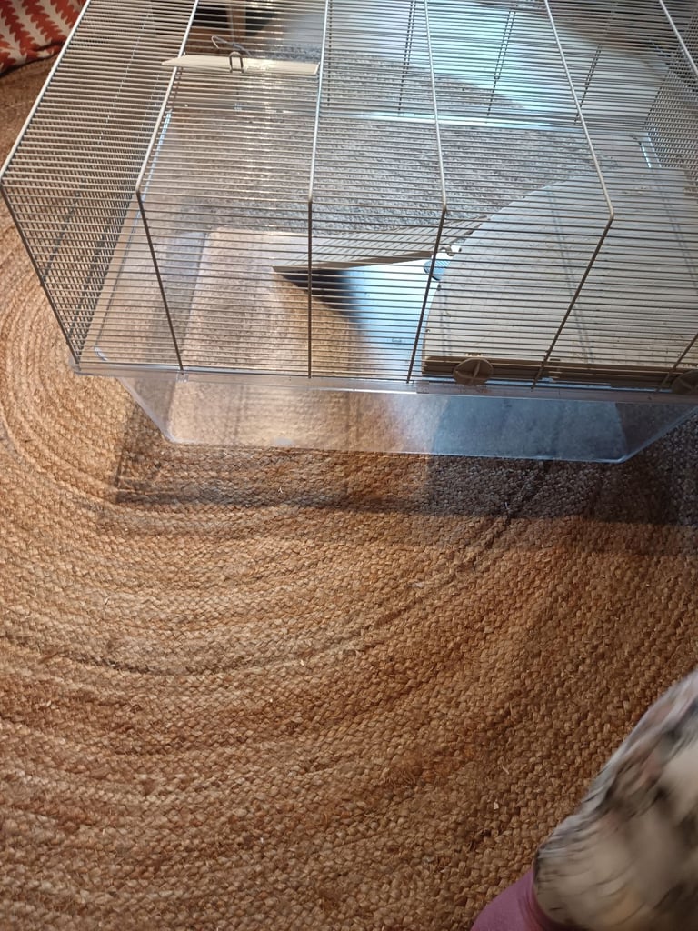 Gerbil Cage