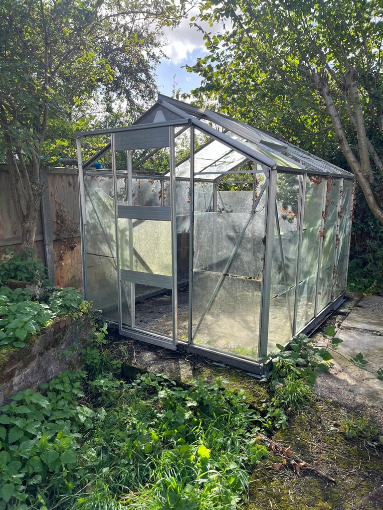 image for FREE 8' x 6' aluminium Greenhouse. Collect from Dereham NR20