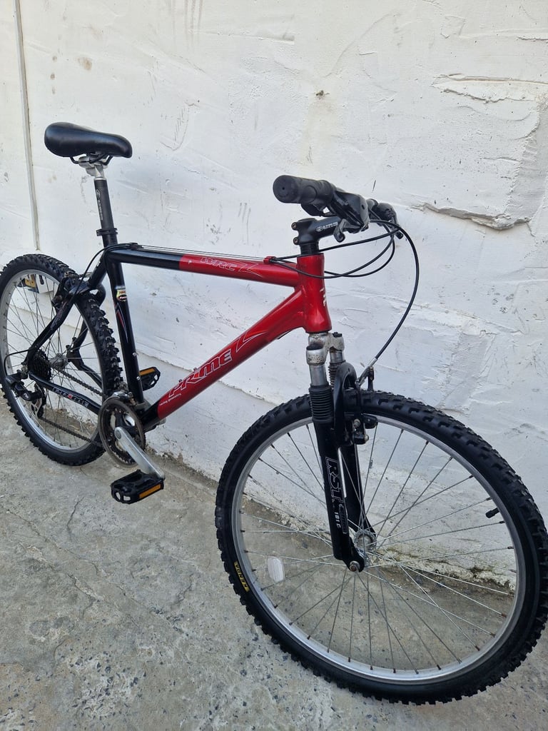 Adults bike 