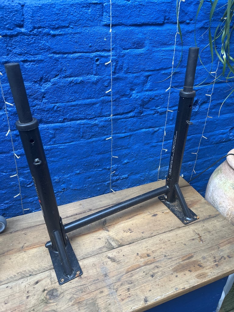 Wall mount Dip Bars (Pull Up Calisthenics)