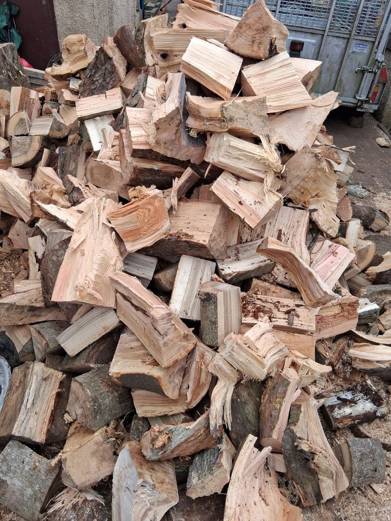 Woodburning logs 