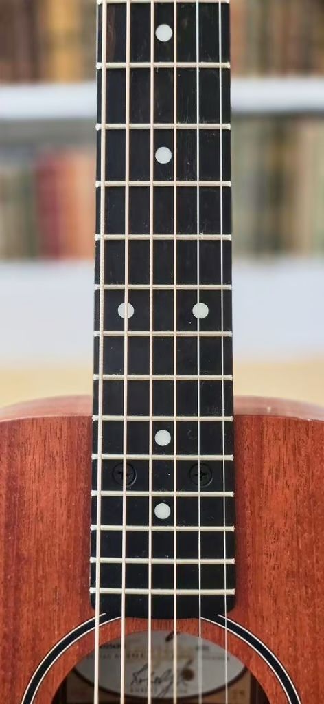 Taylor BT2 guitar with gig-bag in lovely condition with rich sound.