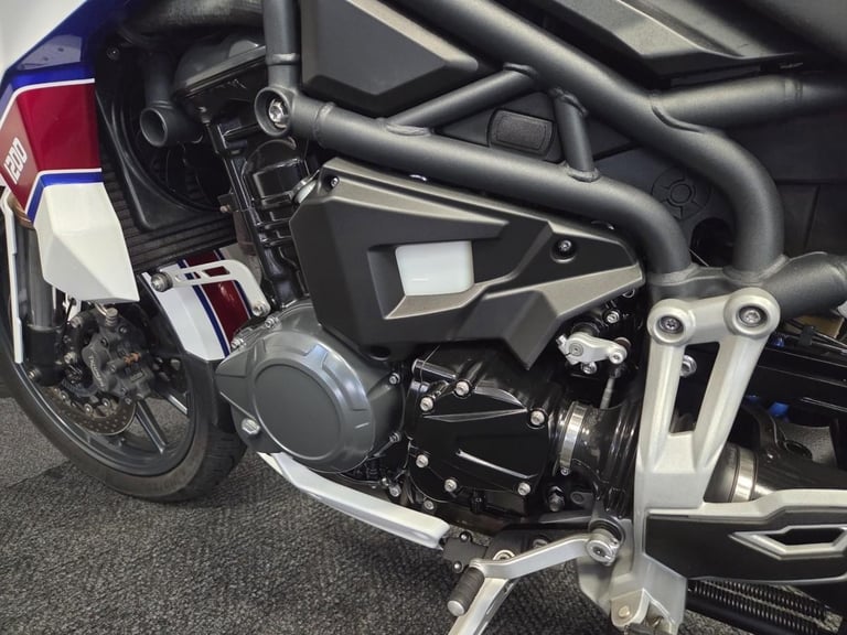 2013 Triumph Tiger Explorer 1215 in white with luggage.