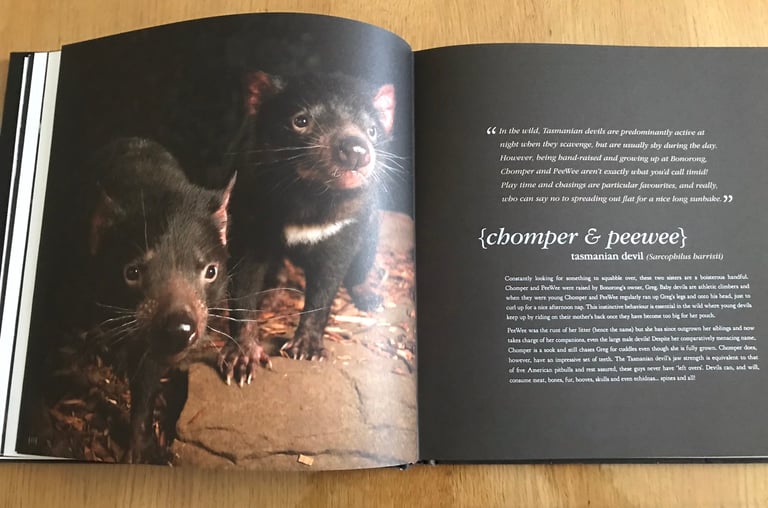 Tasmania Bonorong SancturyBook.Stunning Photos of indigenous Critters 