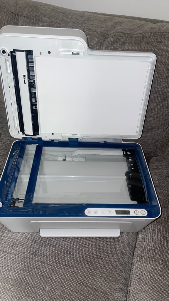 HP Printer 