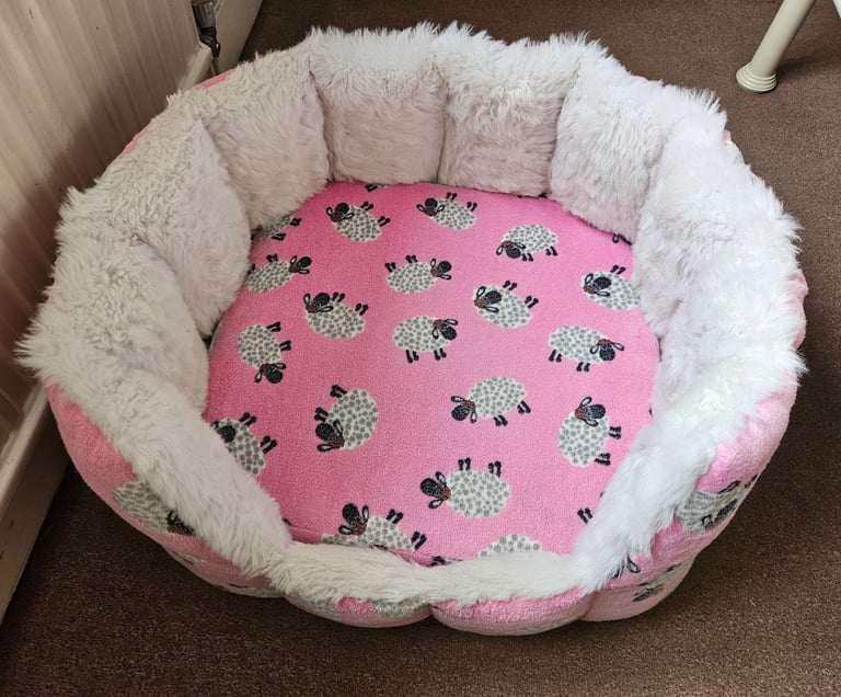 Bespoke dog bed