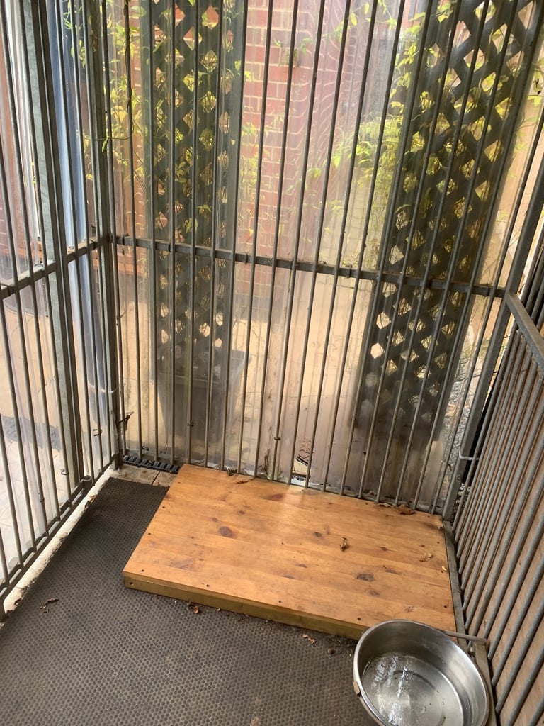 Large dog kennel