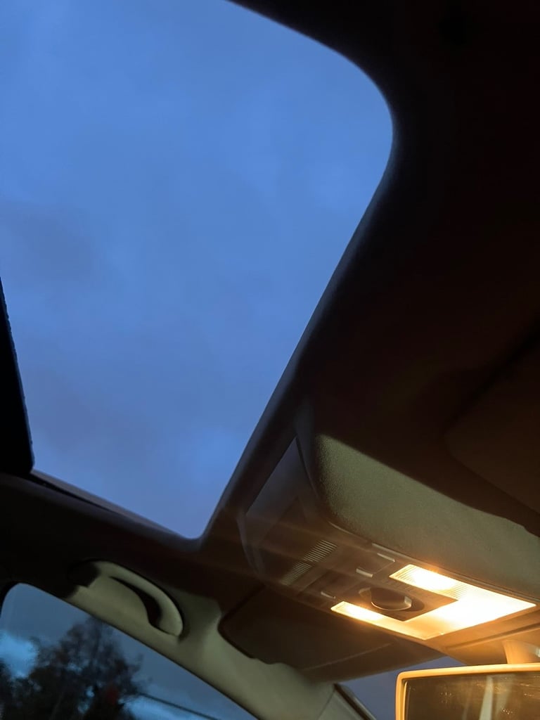 Seat, LEON, Hatchback, 2010, Manual, 1968 (cc), 5 doors