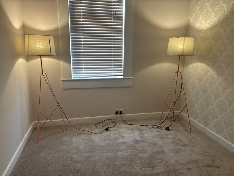 2 x standard lamps copper base 