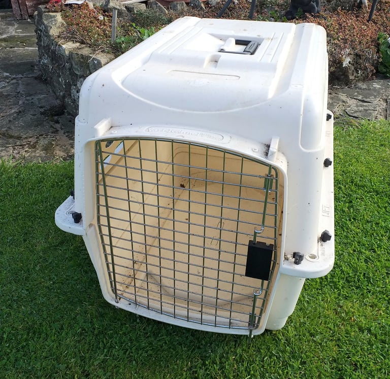 Dog transport crate airline approved 