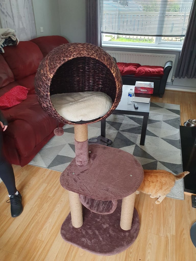 Cat tower