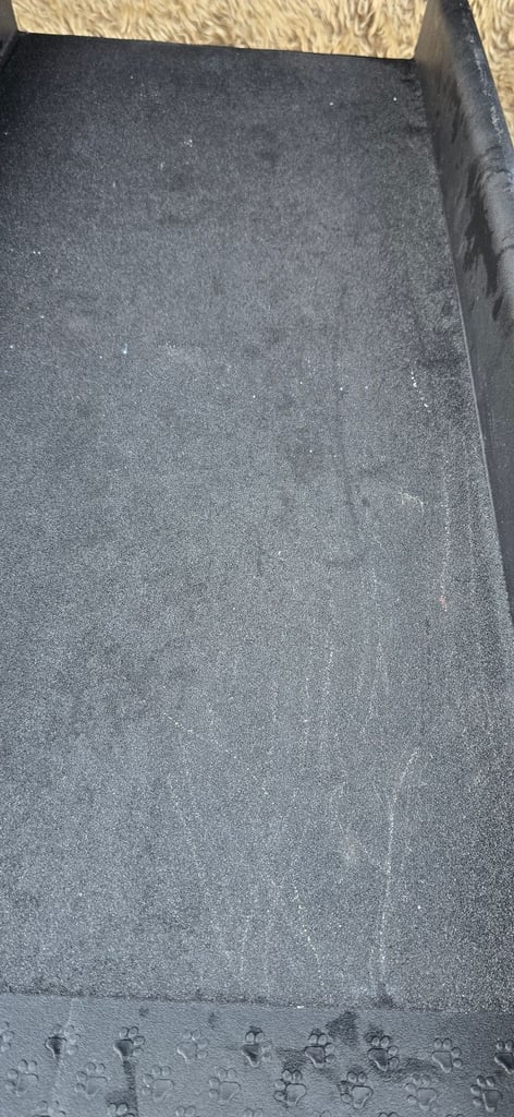 XL Dog ramp