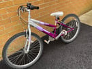 Girls Raleigh Krush mountain bike in great condition.