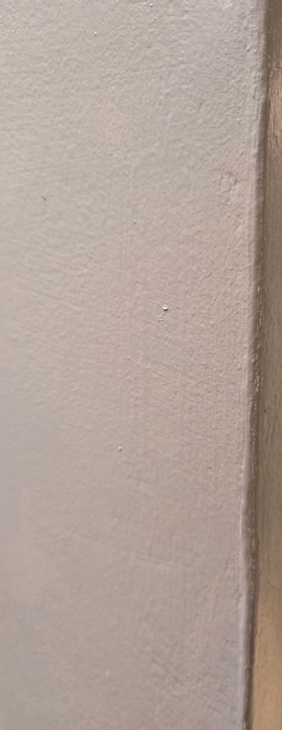 Unused, opened little Greene colour mixed in dulux