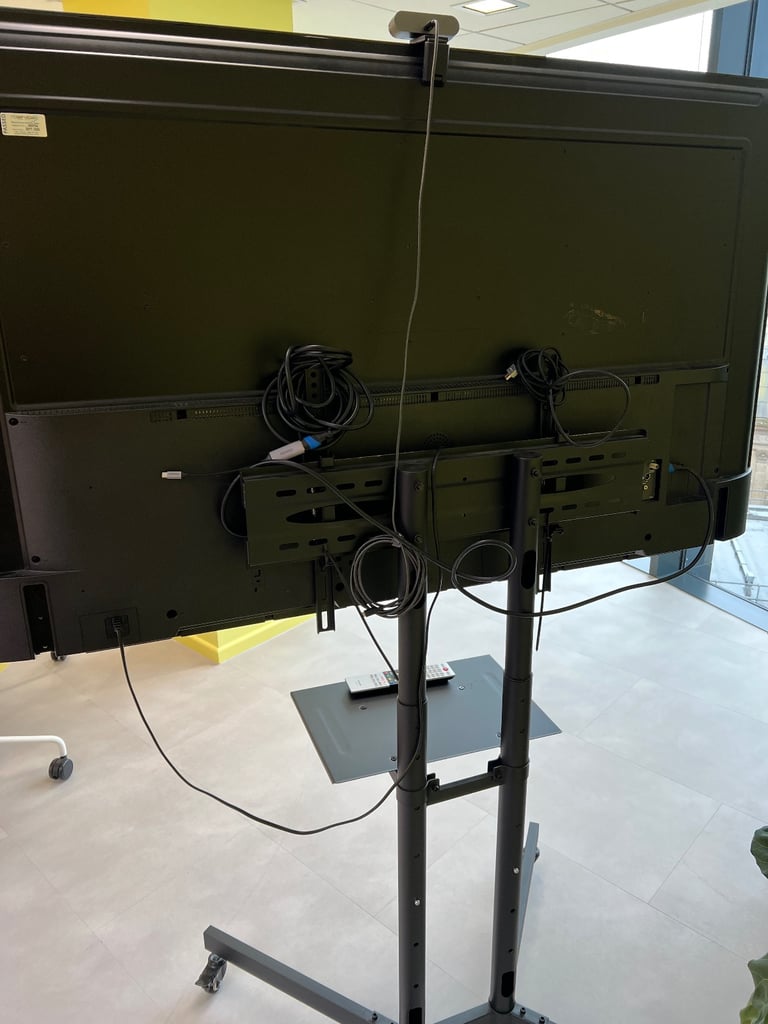 65 inch tv on wheels 