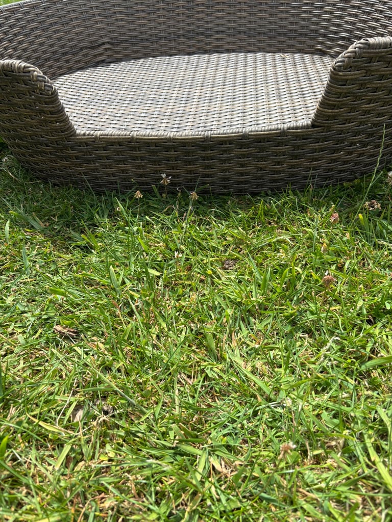 Penrose Rattan Resin Wicker pet bed as new 