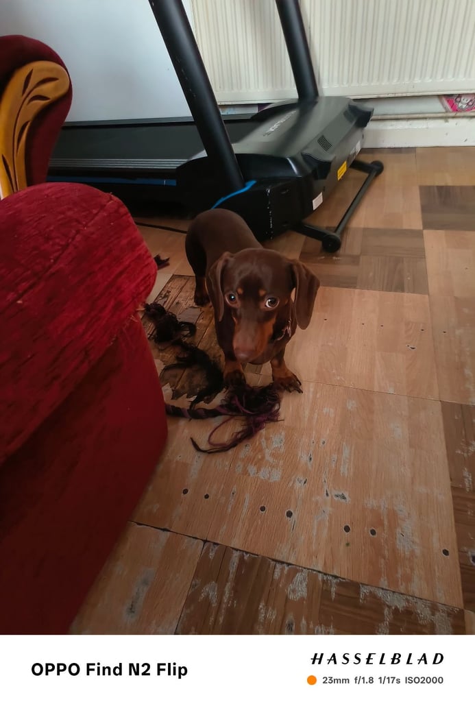 Due to leaving country 