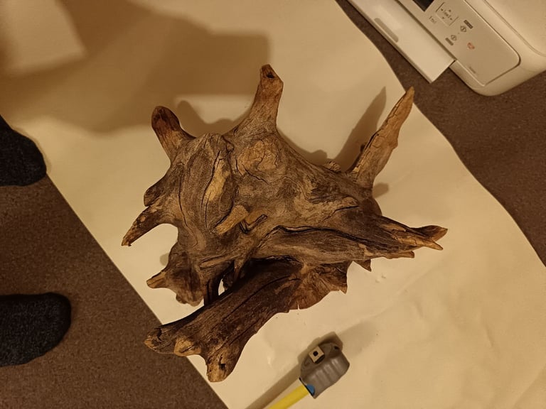 image for Petrified Wood for a fish tank 