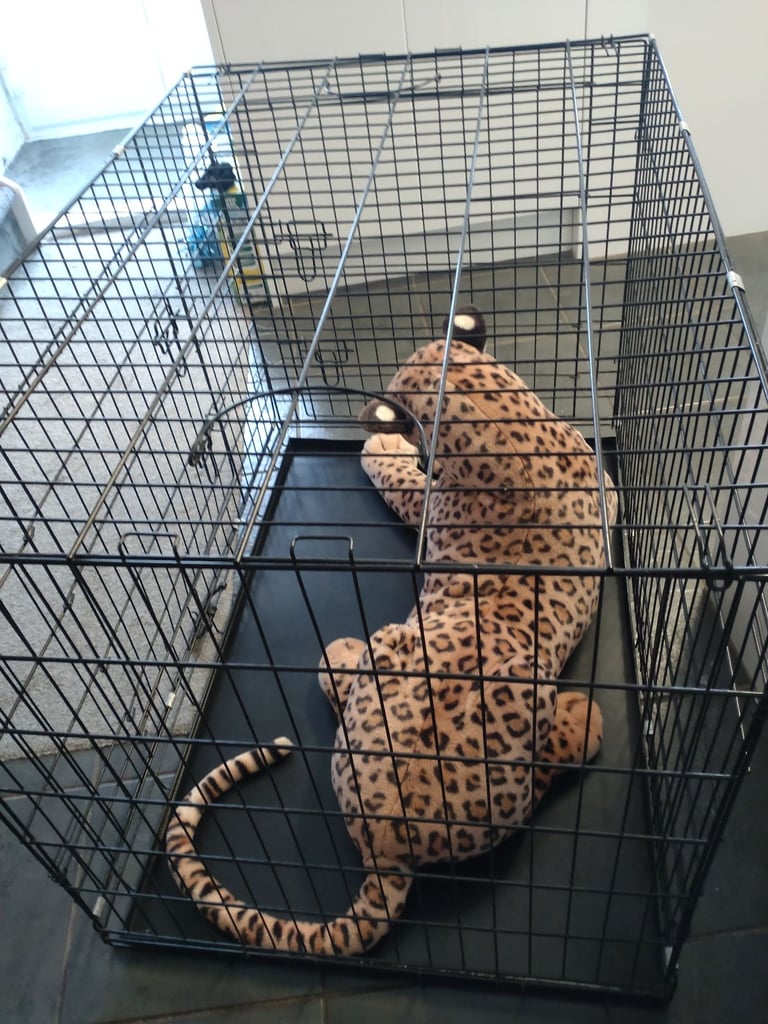 Very large dogs crate  ideal for large breed pick up only 