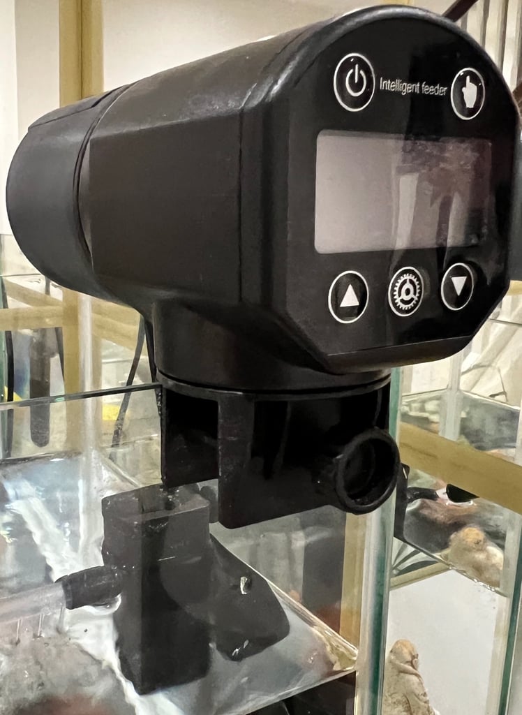 22L Aquarium Fish Tank Setup - Filter, Feeder, Food & Accessories - £40 (Complete Kit)