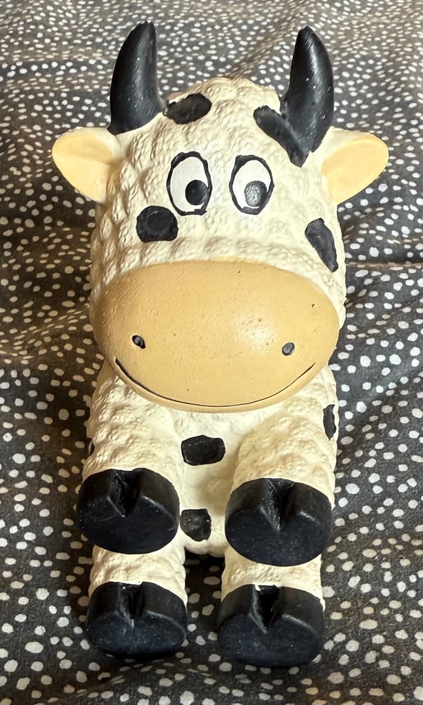 x6 Dog Toys