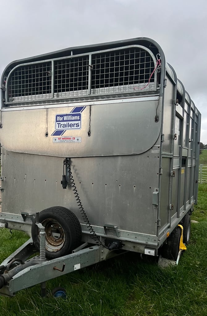 Ifor Williams Livestock trailer 