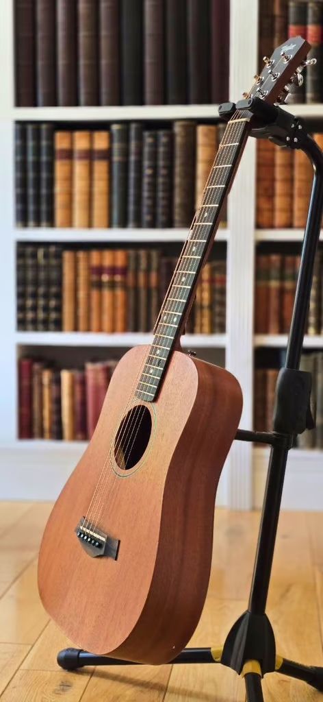 Taylor BT2 guitar with gig-bag in lovely condition with rich sound.