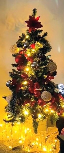 Free 4ft Christmas tree (not pre-lit) and accessories 