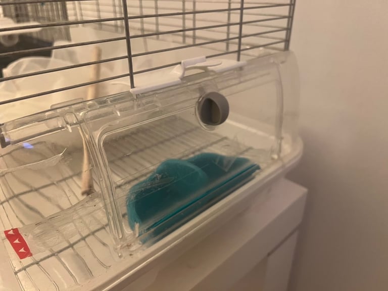 Medium vision bird cage 