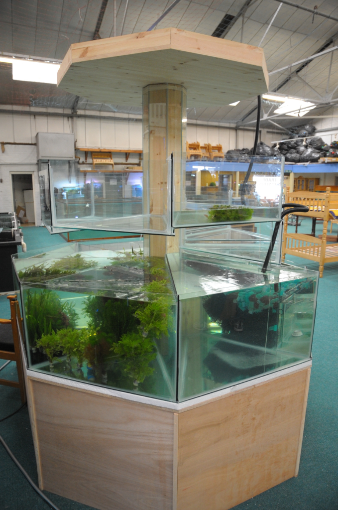 All Glass Fish Tanks Made To Measure, Lowest Prices Possible