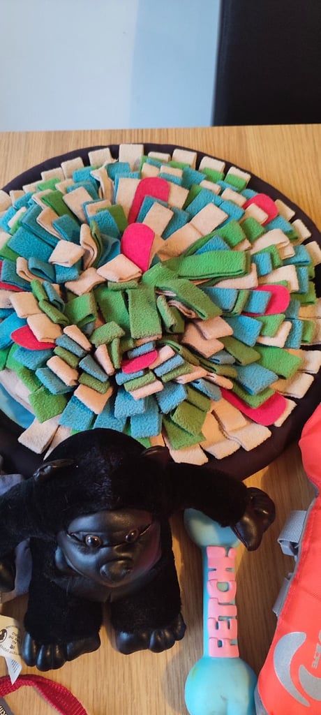 Dog Toys, Lead, Life Jacket, Snuffle Feeding mat