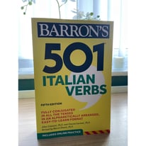 501 Italian Verbs 