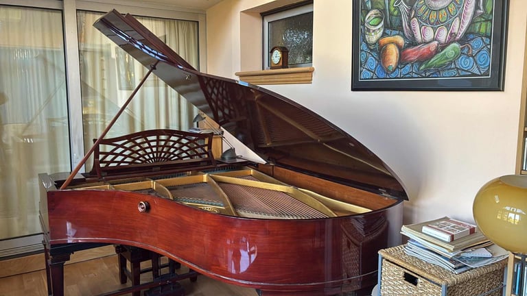 Bechstein B grand piano refurbished 