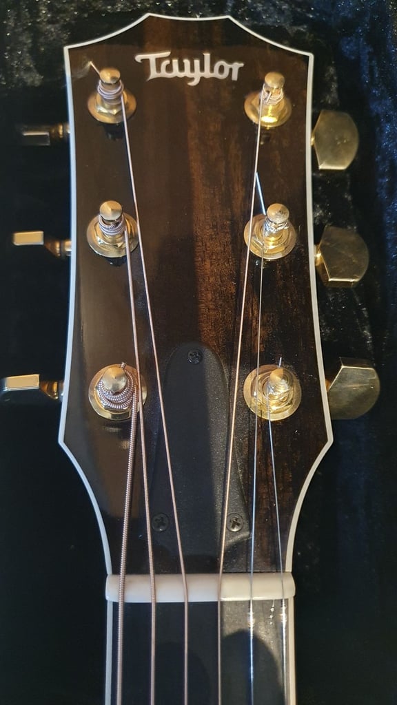 Taylor T5 Custom in KOA wood with Case