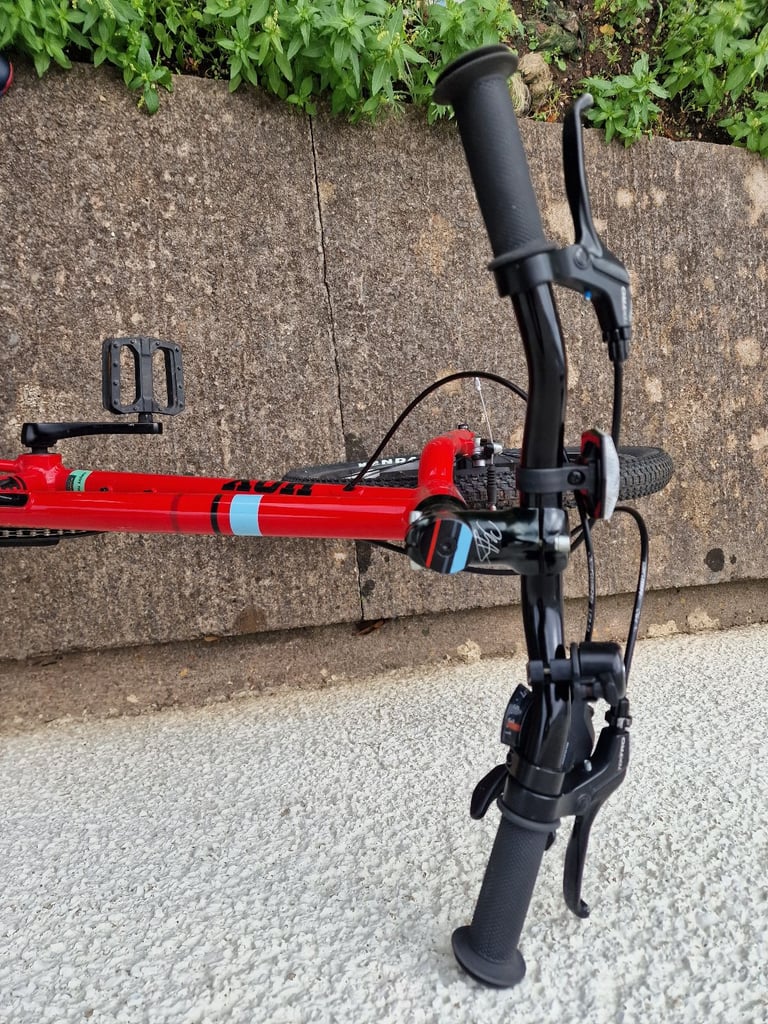 Hoy Bonaly 20 inch Bike