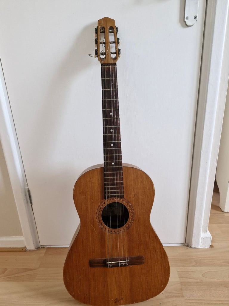 Hofner vienna guitar