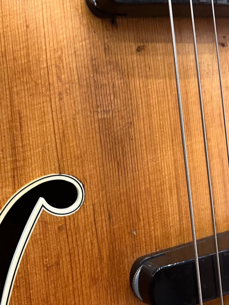 1959 Hofner Committee