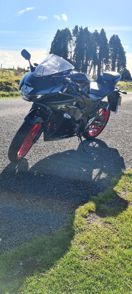 Suzuki, GSX-R, 2023, 124 (cc)