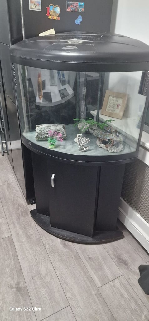 Aqua one corner fishtank