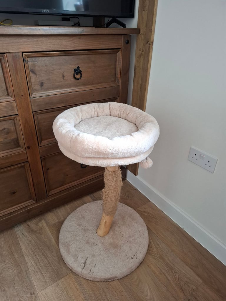 Pets at home tom snooze & swat cat tower natural