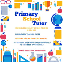 Transfer Test / Primary School tuition Omagh