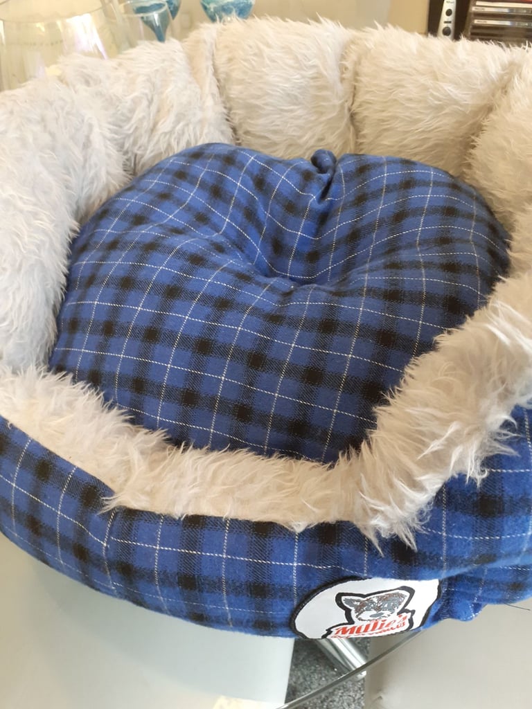 Puppy Tartan dog bed and coat £15