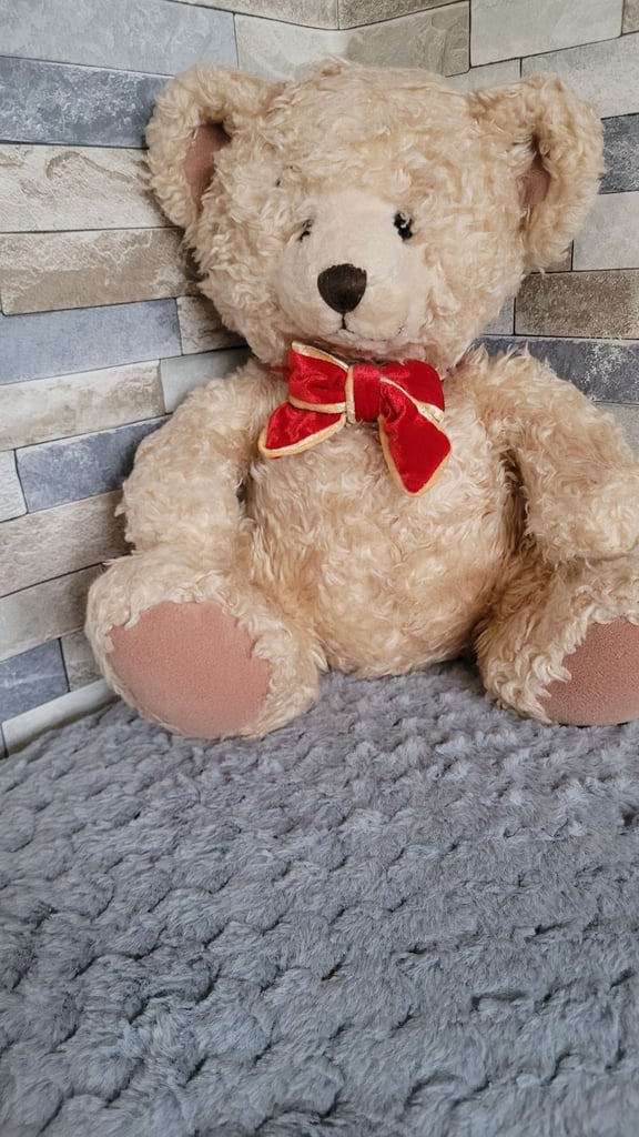 Gorgeous Teddy Bear