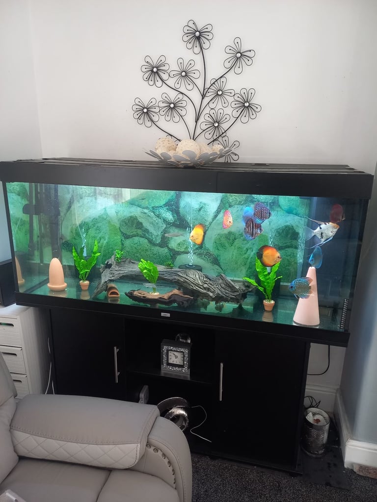 5ft juwel full set up