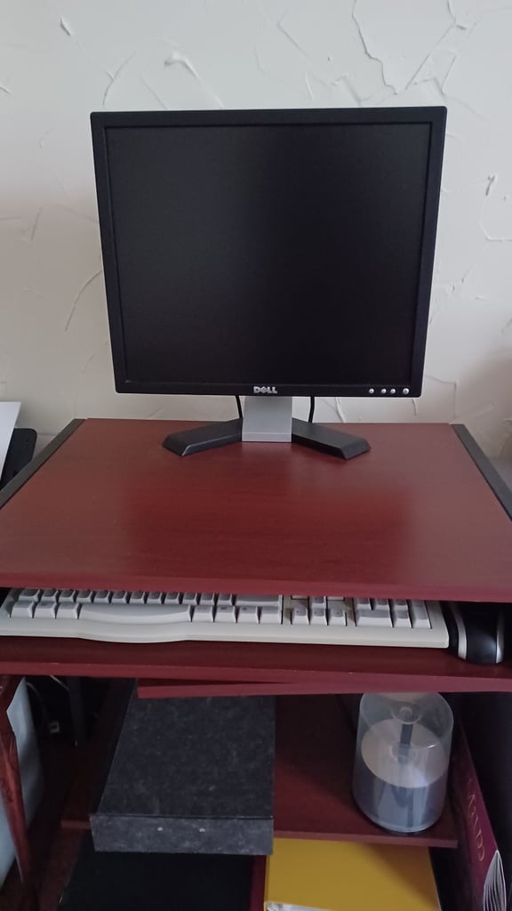 Dell Monitor