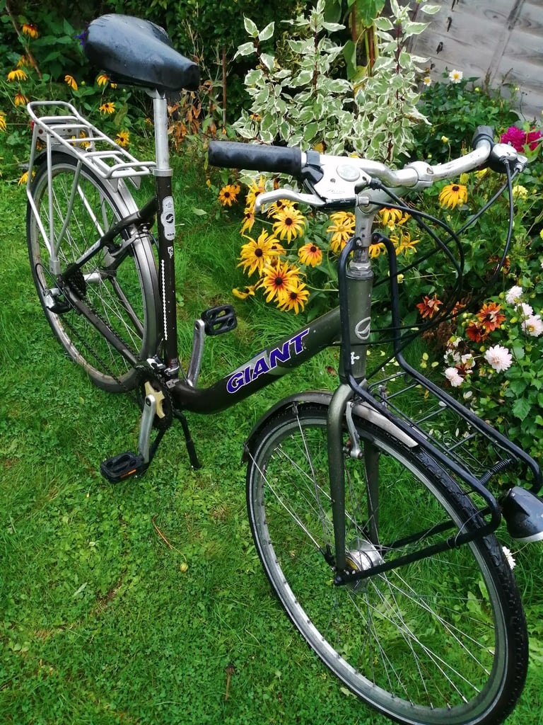 Ladies Giant Bicycle 