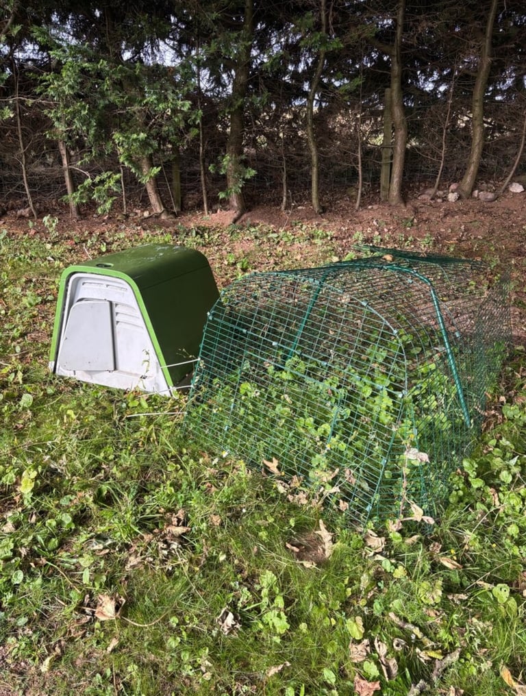 Omlet Eglu coop /house and run for chickens or rabbits