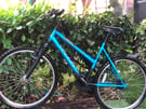 Rally adult mountain bike 